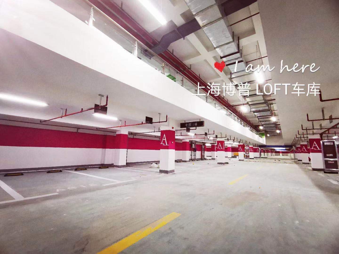 安顺LOFT车库“肤白、貌美、大长腿”实锤!